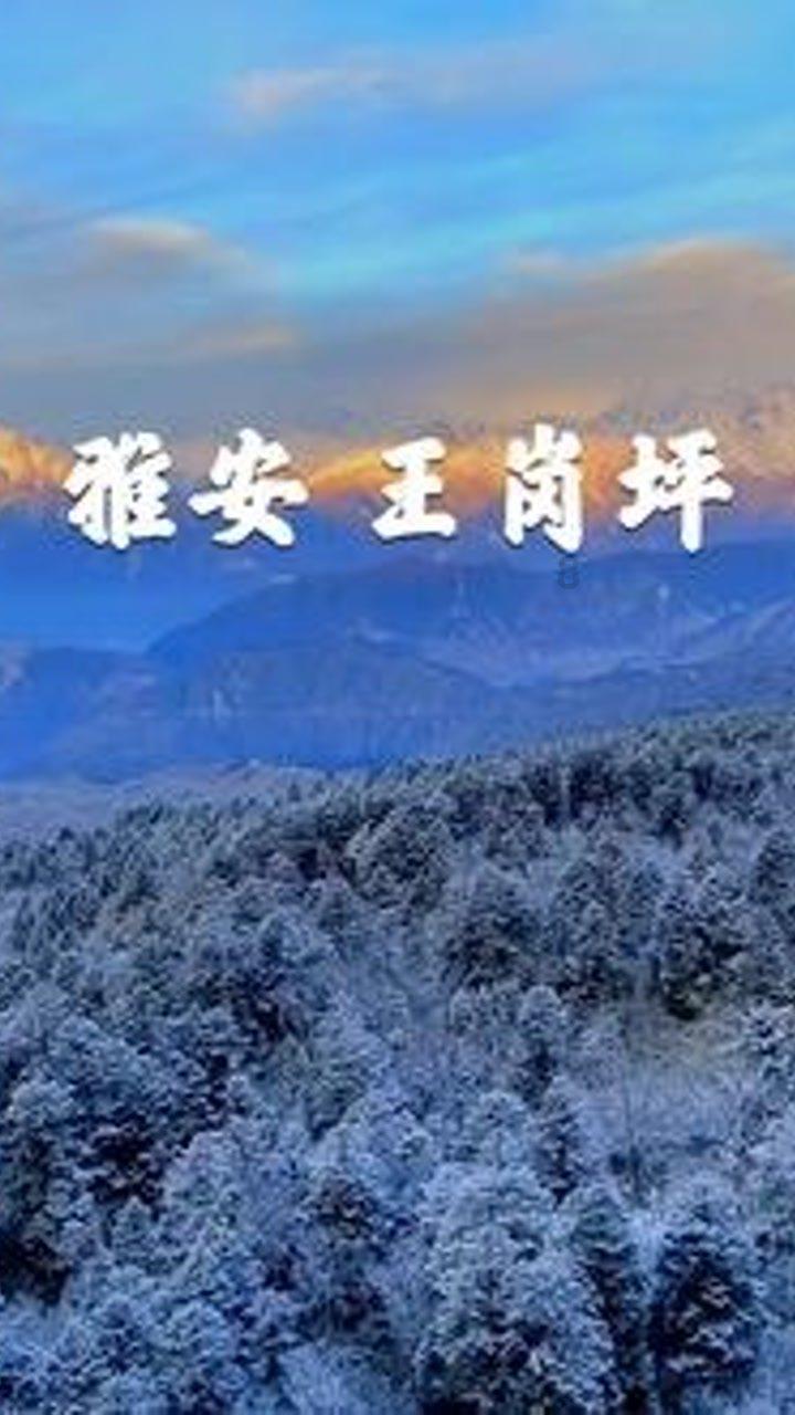 绿色独眼怪
