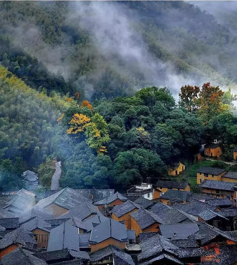 小猫钓鱼游戏龙王版有船