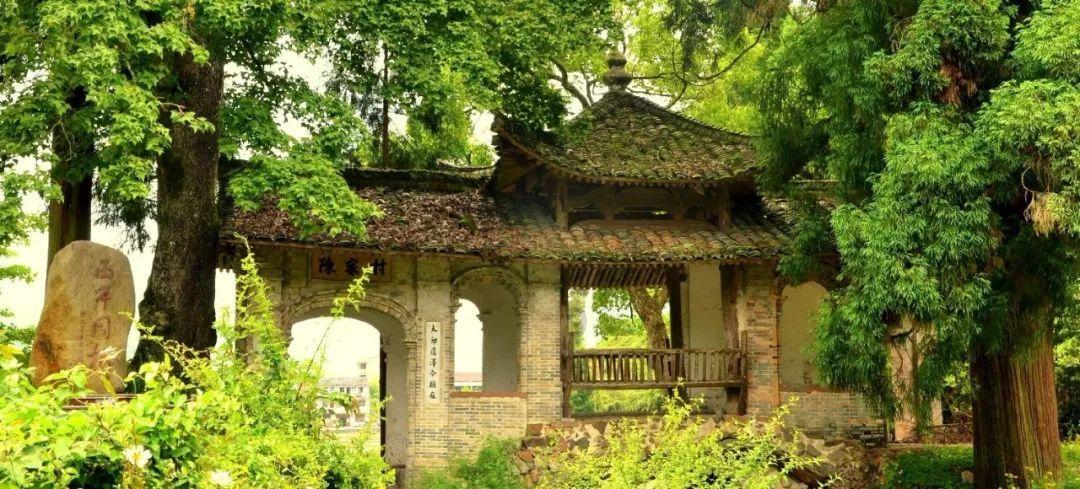 为什么公婆都默认和儿子一起生活呢？游戏画面