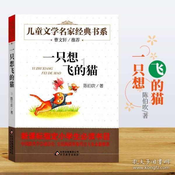 无物业老旧小区发生火灾后 架空层仍杂物乱堆 私拉电线现象严重